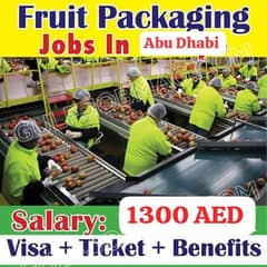 dubai fruit packing job male female