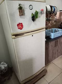 Pel Refrigerator 360 L