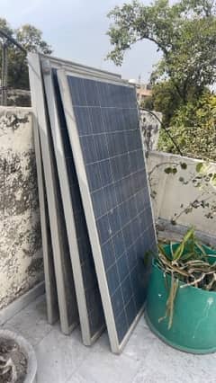 4 solar panels 250w each price 9000/plate