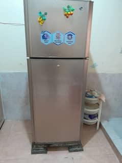 Pel Life Refrigerator in Gold color