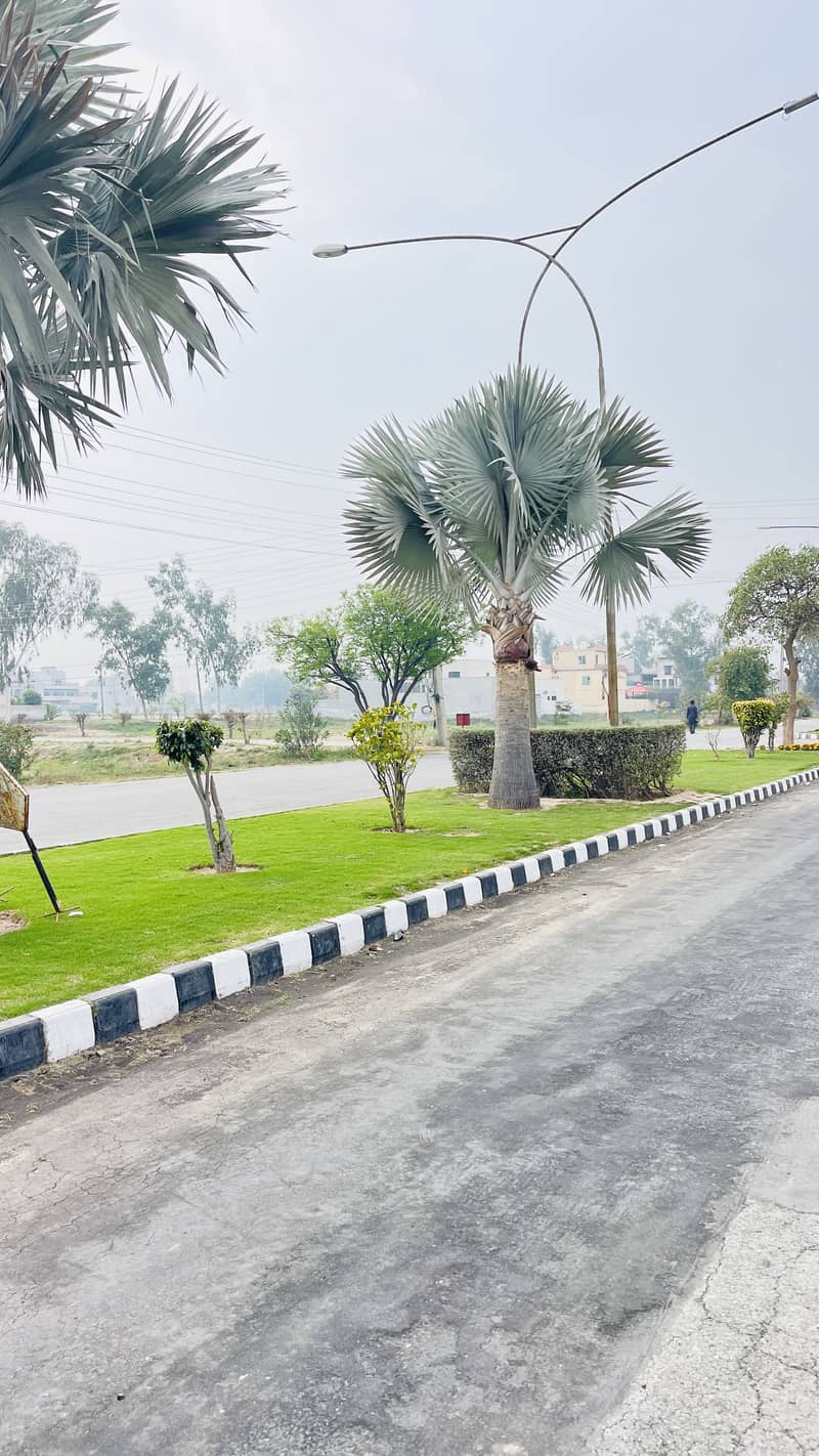 1 Kanal Corner Plus facing park LDA Approved Plot available for sale in Shaheen block chinar bagh 6