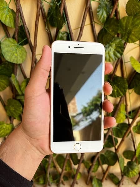 iPhone 8 Plus/PTA Approved/64GB 1