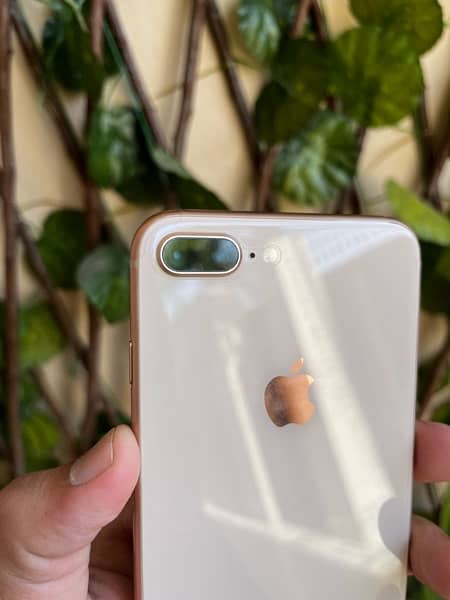iPhone 8 Plus/PTA Approved/64GB 2