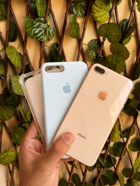 iPhone 8 Plus/PTA Approved/64GB 11