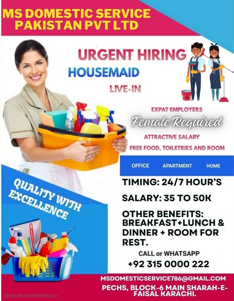 HouseMaids, Cook, Chef, Babysitter, Nanny, Female Nurse, Domestic Help 0