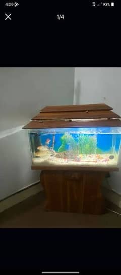Aquarium. with cmplt accessories