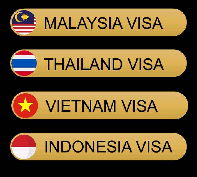 Visa consultancy services 0