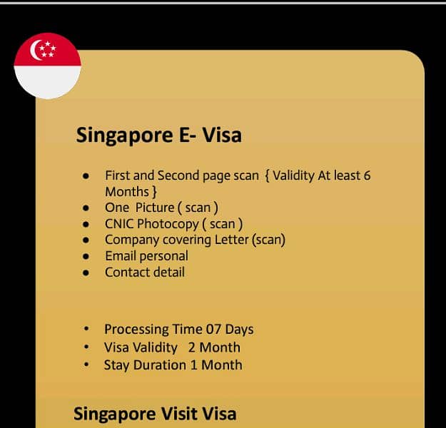 Visa consultancy services 1