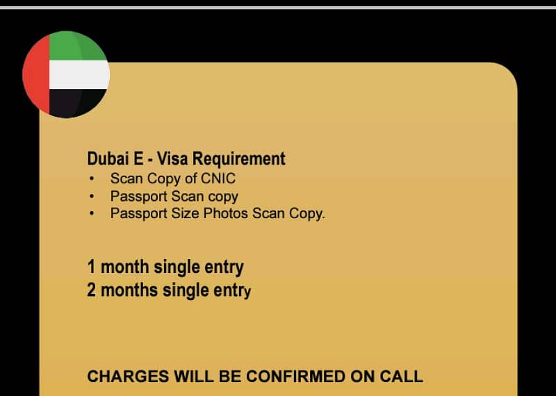 Visa consultancy services 2