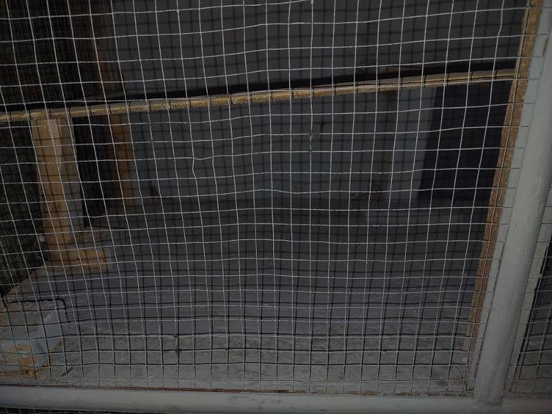 cage for sale parrot for sale 1