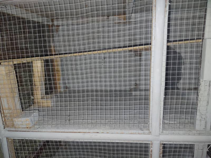 cage for sale parrot for sale 2