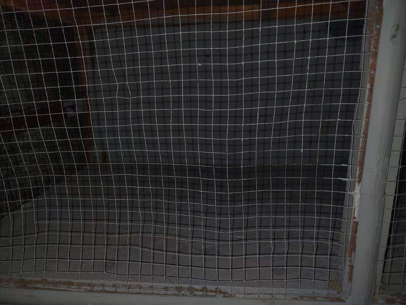 cage for sale parrot for sale 3