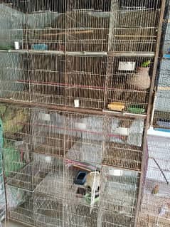 Iran cage for sell 20 portion
