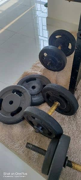 Gym bench press dumbells weights rubber 10/10 3