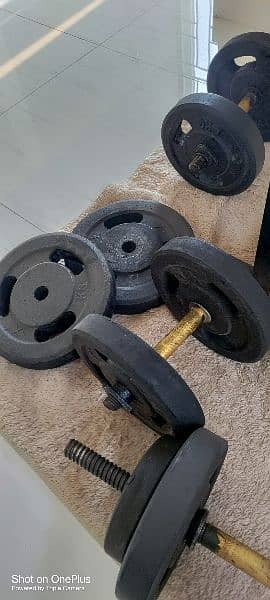 Gym bench press dumbells weights rubber 10/10 4