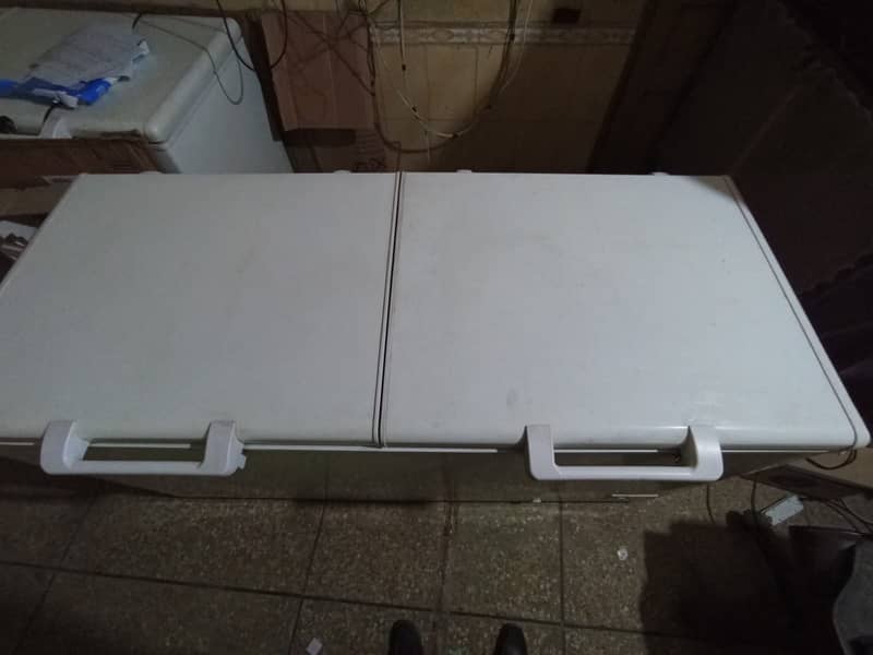 Hair D Freezer For Sale 0