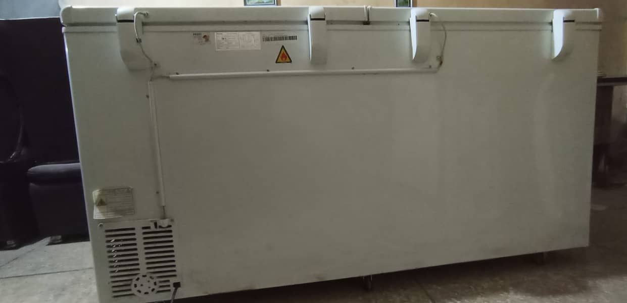 Hair D Freezer For Sale 2