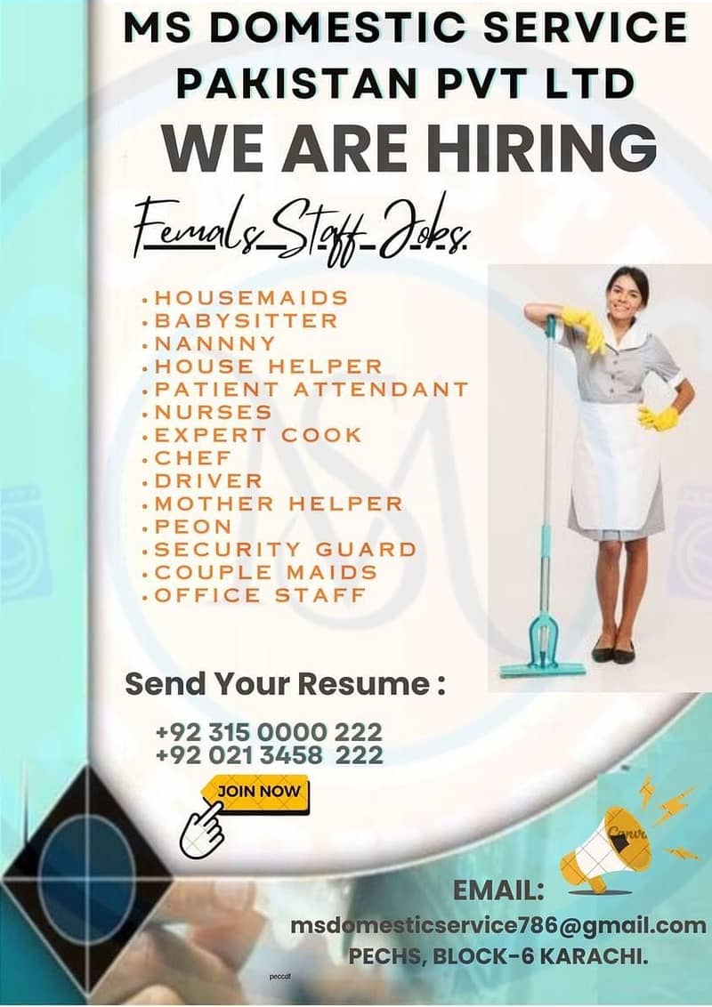 Chef, Cook, HouseMaids, Nanny, Babysitter, Peon, Kitchen Helper, Maids 0