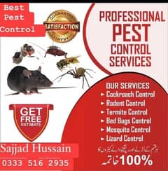 Termite/Pest control treatment/deemak control service/spray fumigation