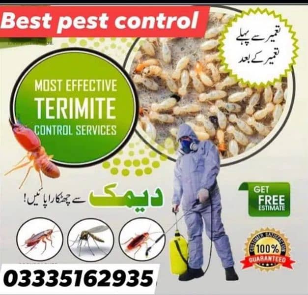 Termite/Pest control treatment/deemak control service/spray fumigation 1