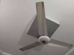 fan