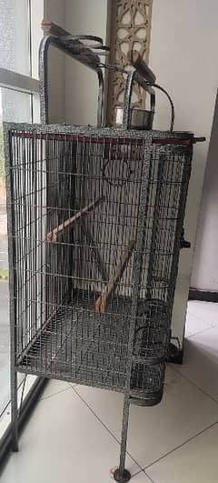 macaow parrot cage