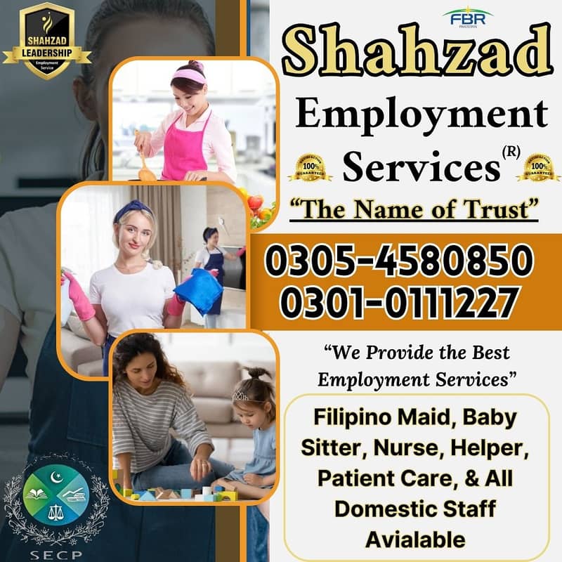 Nurse | Cook | Driver | Chef | Babysitter | Maid | Couple | Office Stf 0