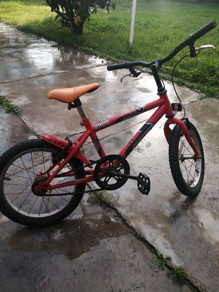 RALEIGH bycicle for kids imported from England 2
