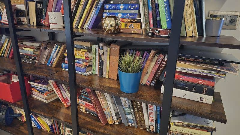 Books/Store Shelves 1