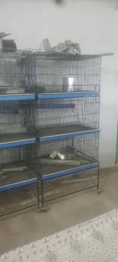cages for parrots, rabbits, hen