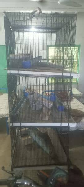 cages for parrots, rabbits, hen 1