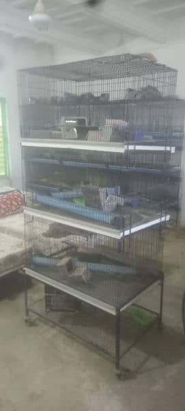 cages for parrots, rabbits, hen 2