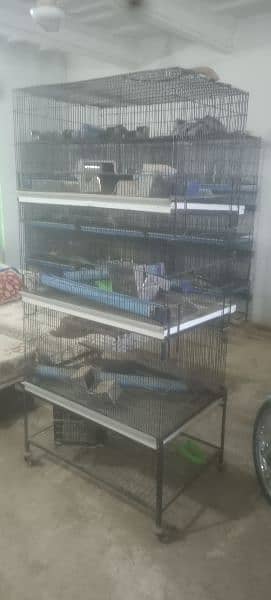 cages for parrots, rabbits, hen 3