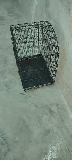 birds and cage all sale