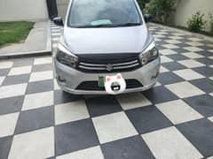 Suzuki cultus vxl Almost geniun 0