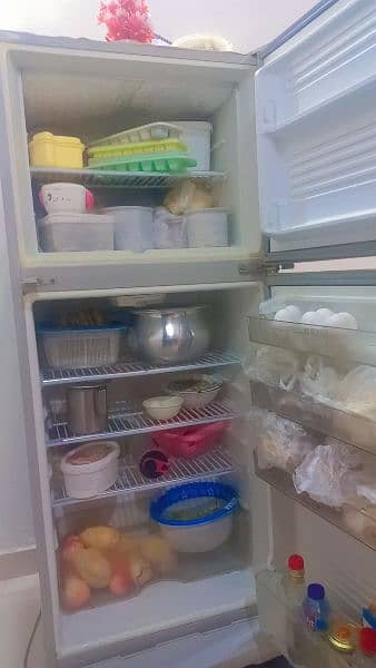 Dawlence Fridge | refrigerator | cooler | neat and clean | Fridge | 4