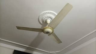 Four ceiling fan on reasonable price