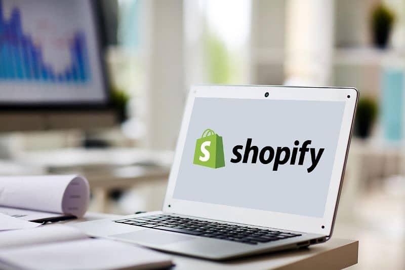 shopify store for sale 8