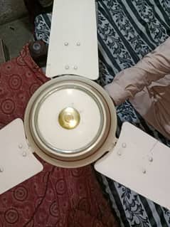 56 inch Taranum ceiling fan full speed for sale