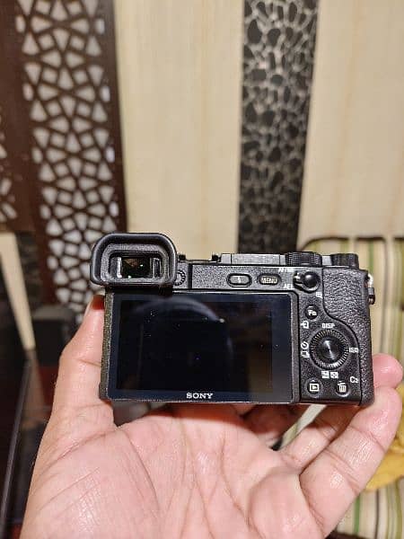 Sony A64000+16-50 kit lens 9