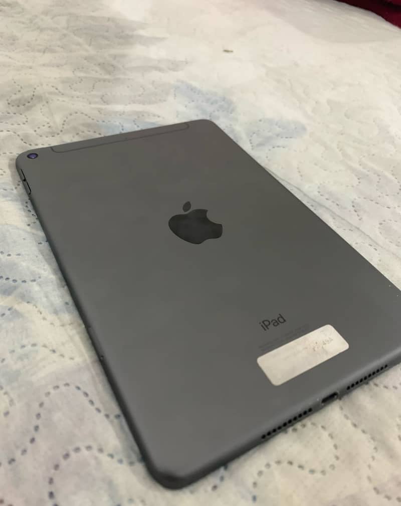Apple Ipad mini 5 3