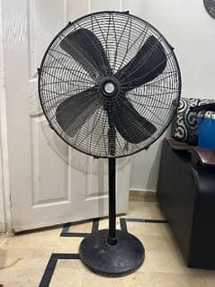 Polo Pedestal FAN 0