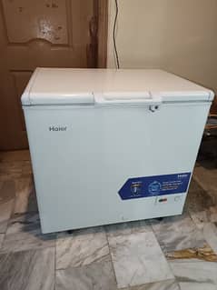 New almost Haire deep freezer urgent sale