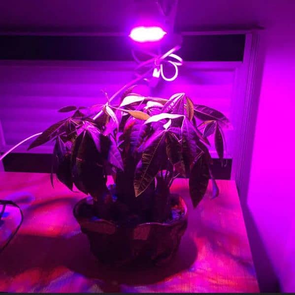 Imported Full Spectrum Led  Plant Grow Lights 0