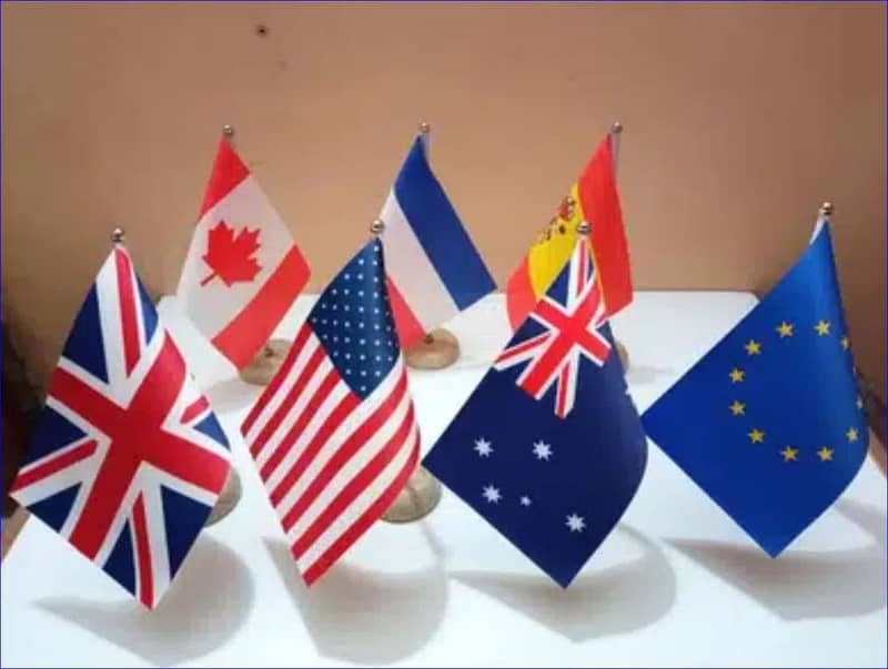 Indoor Office Flags & Pole for Travel Agents & Immigration Consultants 10