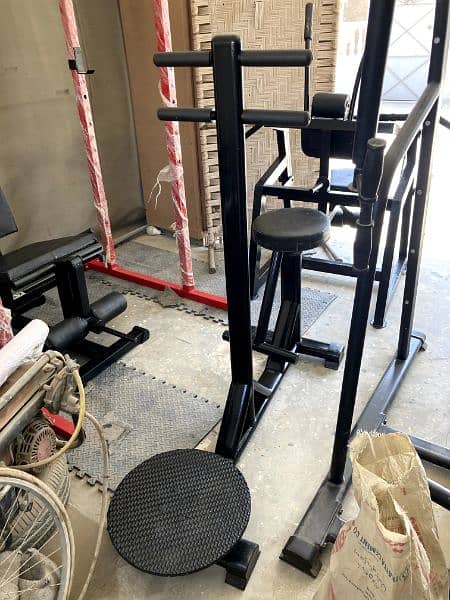 Dumbell rack, Dumbells, plates and benches 10