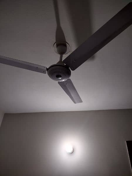 ceiling fans 1