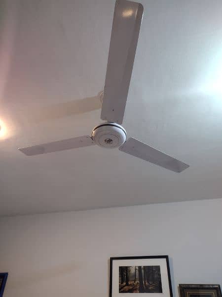 ceiling fans 2