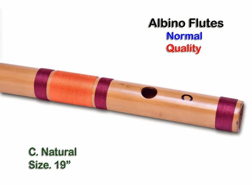 Flute Bansuri For Beginners 1