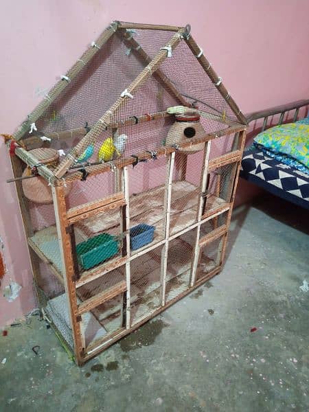 budgies breeder pair with cage 3